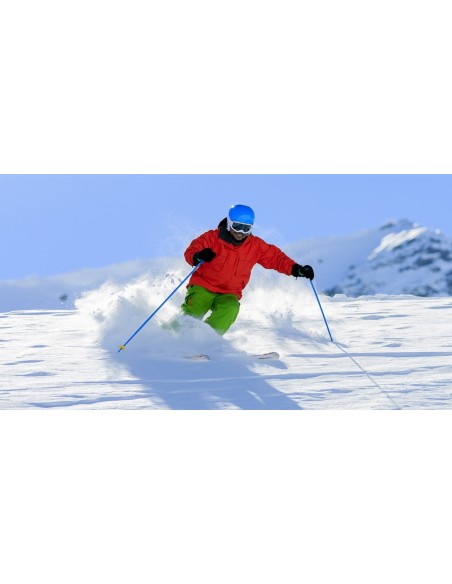 Alpine Ski